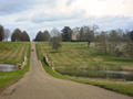 #9: Stowe Driveway