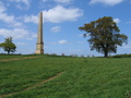 #9: In Stowe Gardens