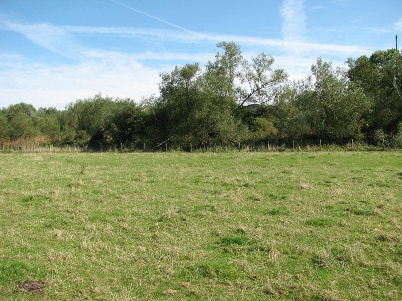 East view.  The River Great Ouse borders the confluence field on the other side of the fence.