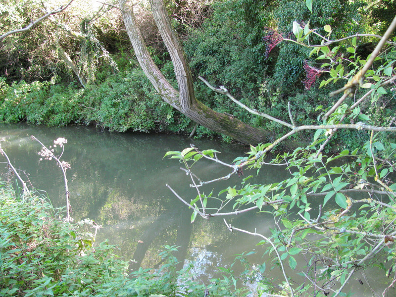 The River Great Ouse.