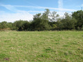 #2: East view.  The River Great Ouse borders the confluence field on the other side of the fence.