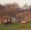 #7: Watchers