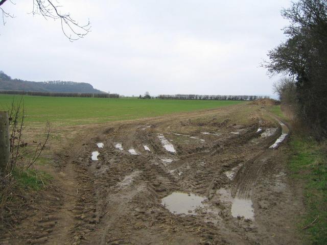 Field and Compost Heap