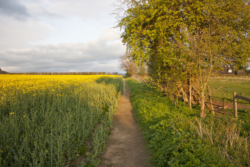 Looking back along the footpath