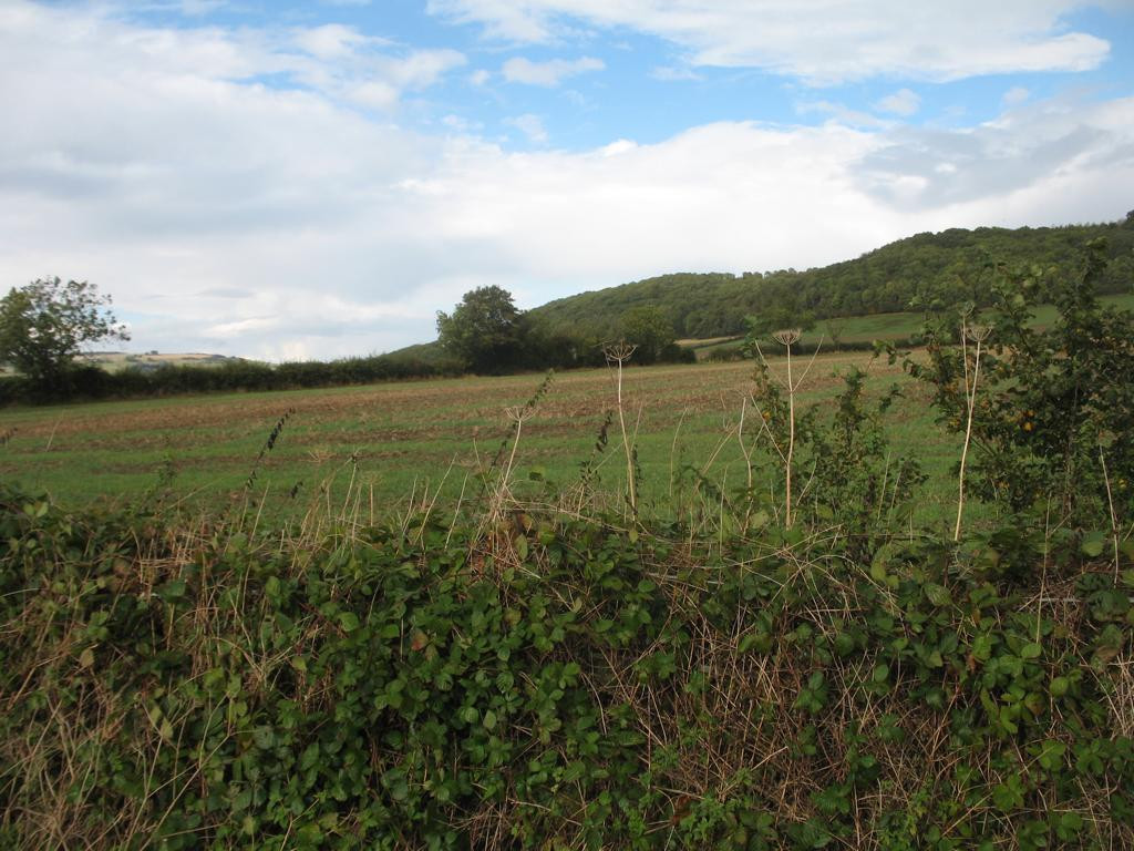 Norden; view north