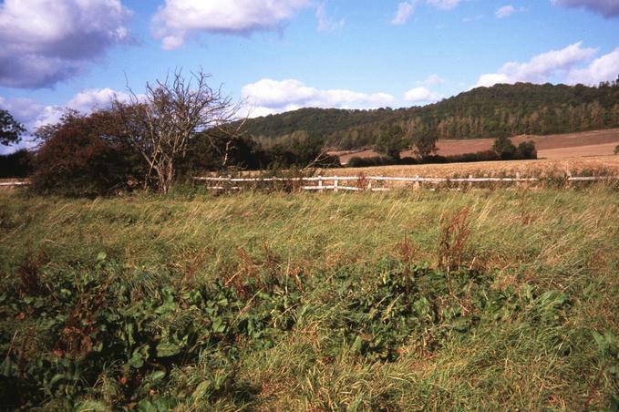 The confluence, and Alderton Hill