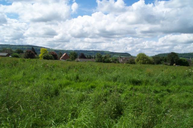 Looking South towards Alderton