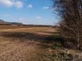 #4: looking east