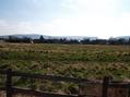 #5: looking south