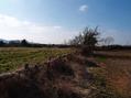 #6: looking west
