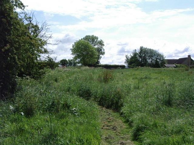View East with the mowed path