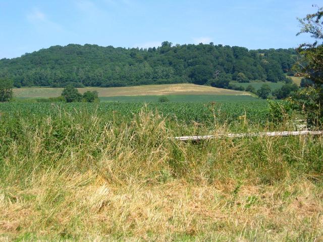 The Confluence - View to the North