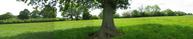 #2: Panorama South