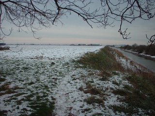 #1: Looking at the confluence (half way between viewer and farm 30yd from channel)