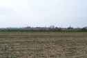 #3: View towards S from the confluence