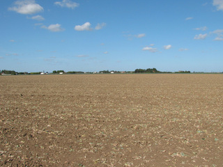 #1: North from the confluence.