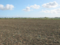#3: Looking South.