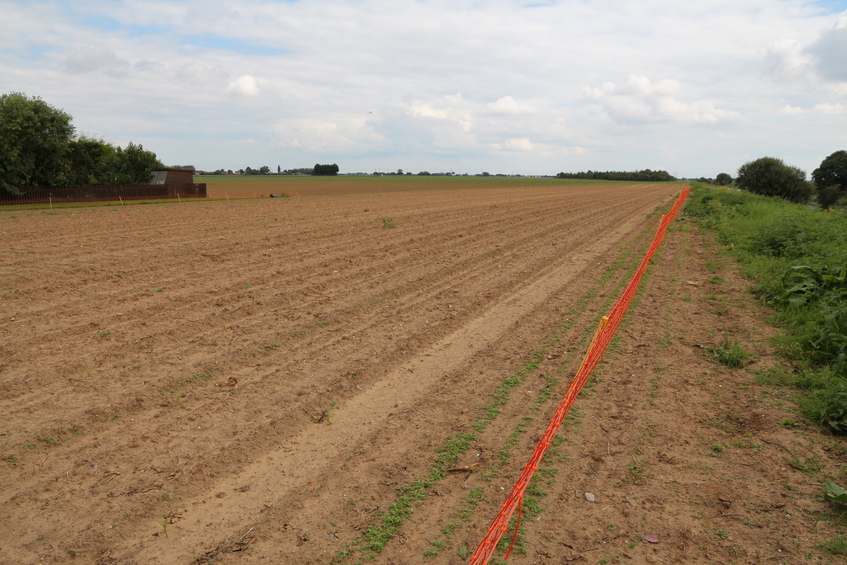 Rabbit Proof Fence?