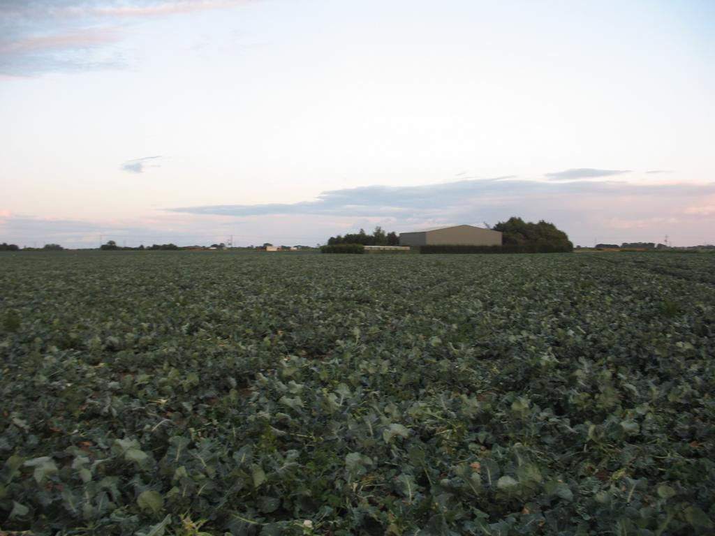 Osten; view east