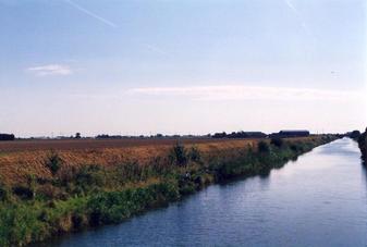 #1: Cowbridge Drain, and field containing confluence