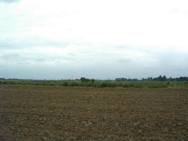 Looking South