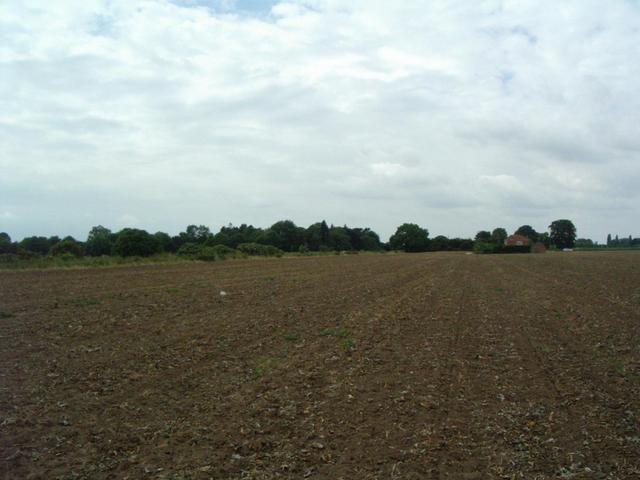 Looking West