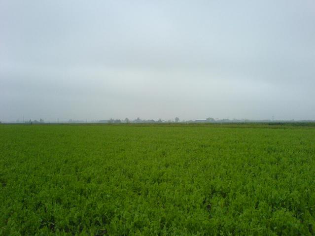 South