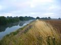 #6: The Nearby Drainage Channel
