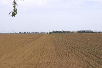 #1: General view - crop planting taking place.