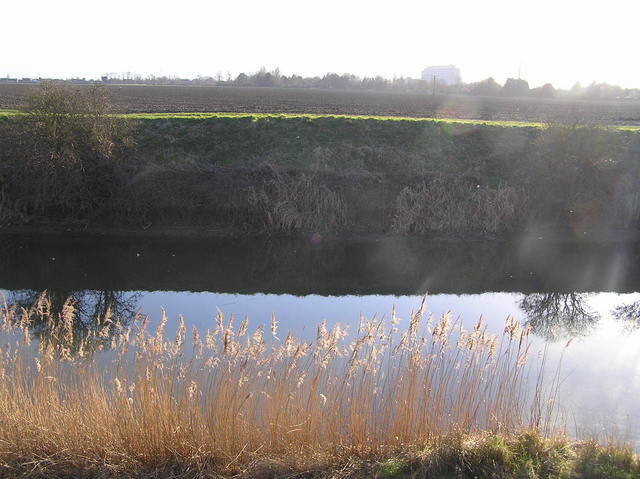View to the south from the confluence across Cowbridge Drain.