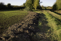 #6: Ditch dredging