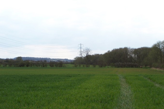 View towards S from the confluence