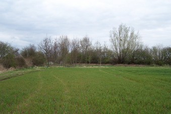 #1: General view of the confluence (towards N)