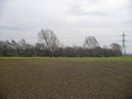 #3: South