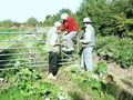 #8: We had to climb over this locked gate.