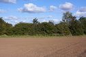 #3: East