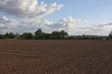 #4: South