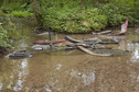 #11: Bits of broken car