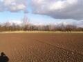 #3: looking east (+ me)