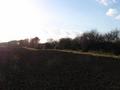 #5: looking west (too much sun)