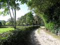 #7: The lane into Harewood Hall and Harewood Hall Farm.