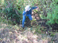 #8: Alan makes his way through a ditch and brambles with sharp thorns.