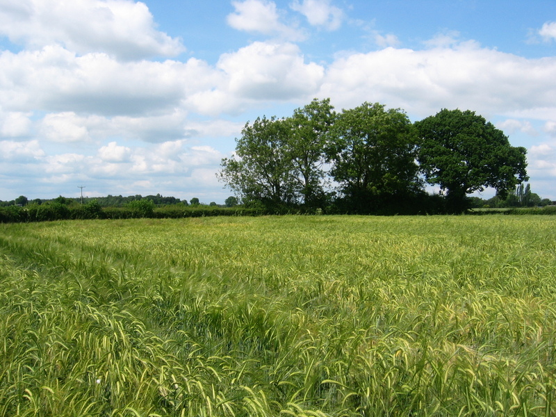 View to the North