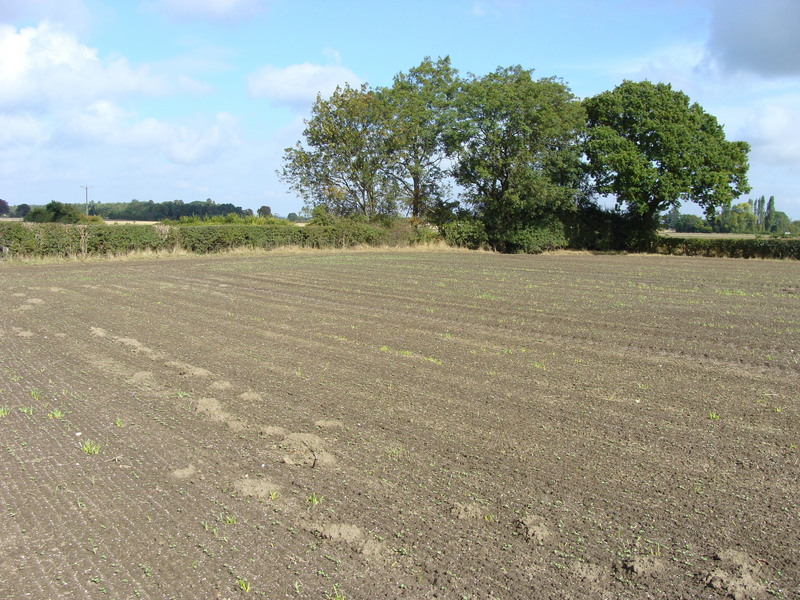 Looking north from 54N 01W