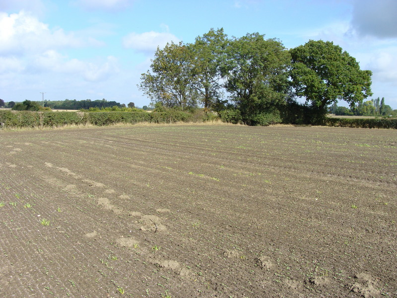 Looking north from 54N 01W