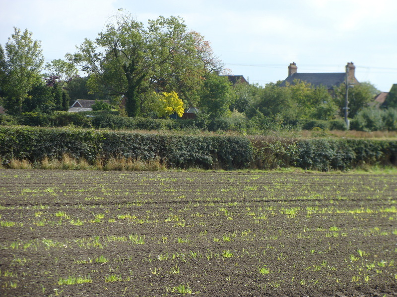 Looking east from 54N 01W