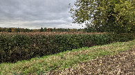 #6: View West