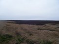 #2: Looking North