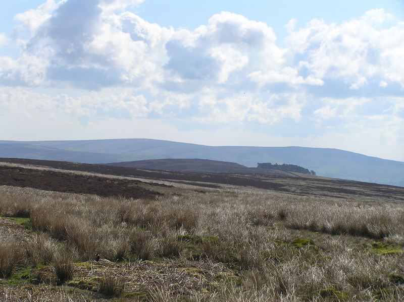 Zoomed in view to the east from the confluence.