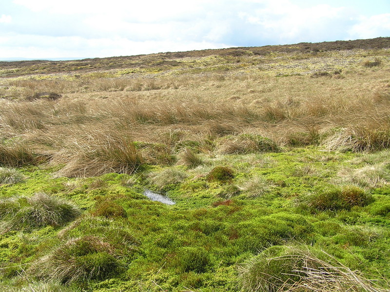 View to the west-southwest from the confluence.